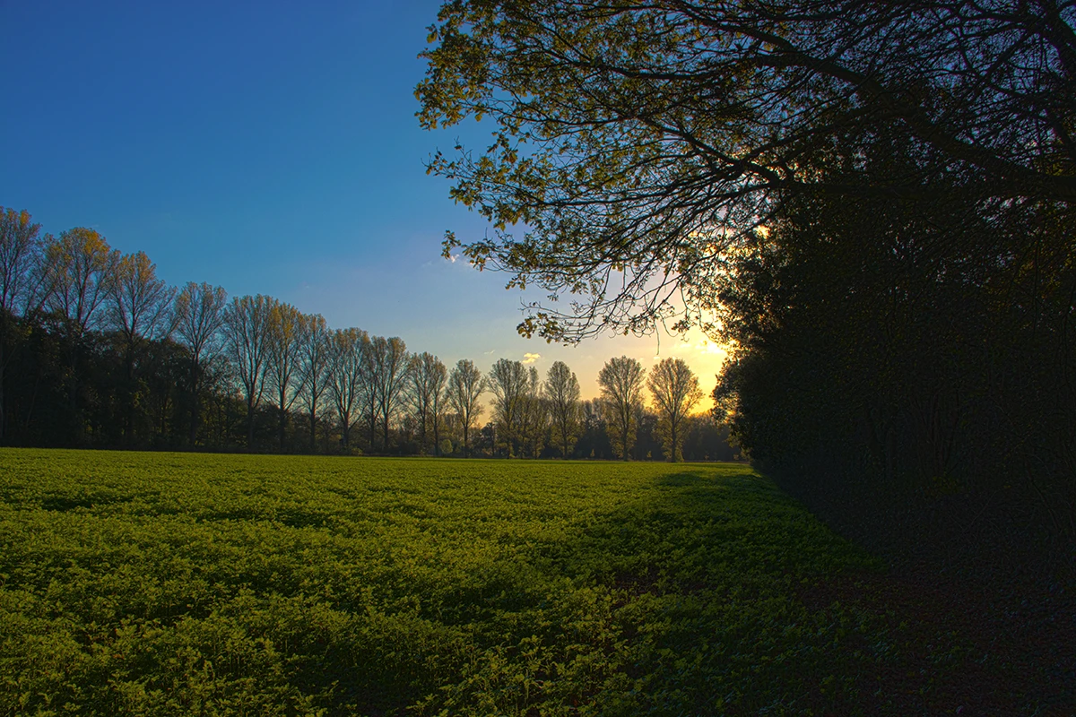 Am Hülser Berg